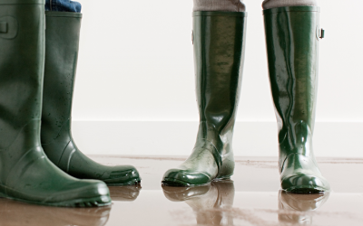 Protégez votre maison contre l'inondation du sous-sol